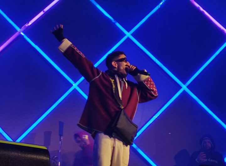 Sidoka no show do Primavera na Cidade