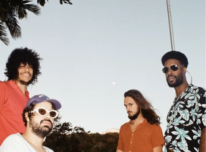 boogarins