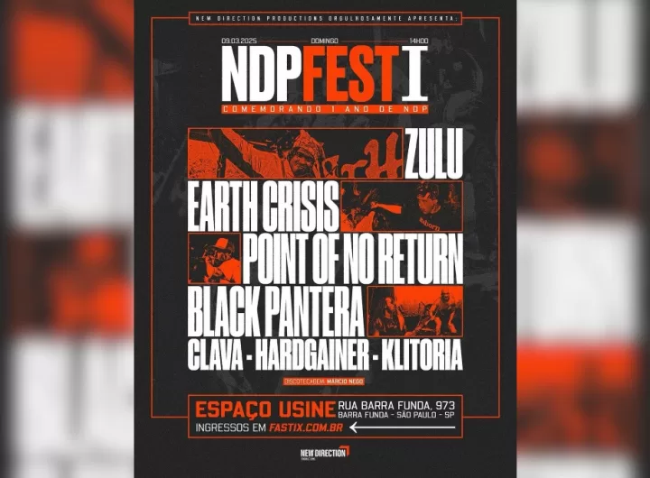 NDP Fest - Capa