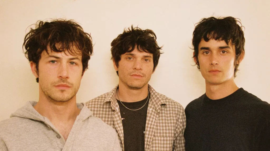 wallows