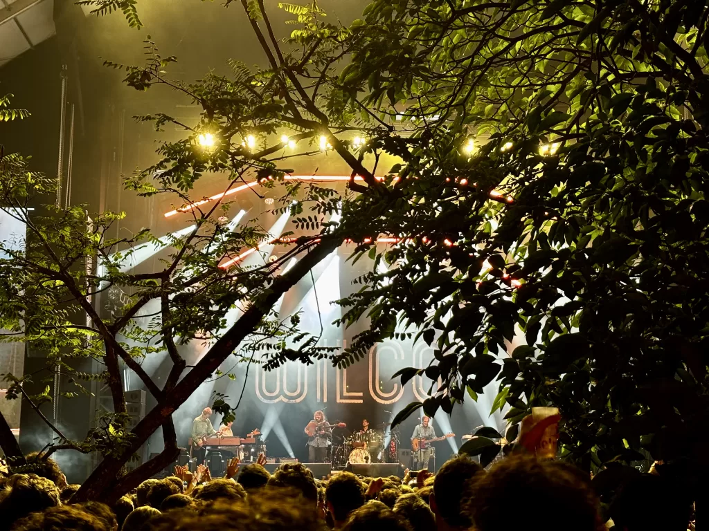 wilco no c6 fest 2025