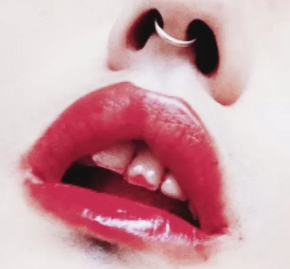 catto caminhos selvagens