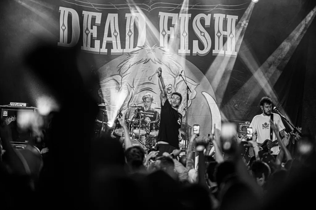 Dead Fish (Créditos: Danilo Costa @danilo.costafotografia)