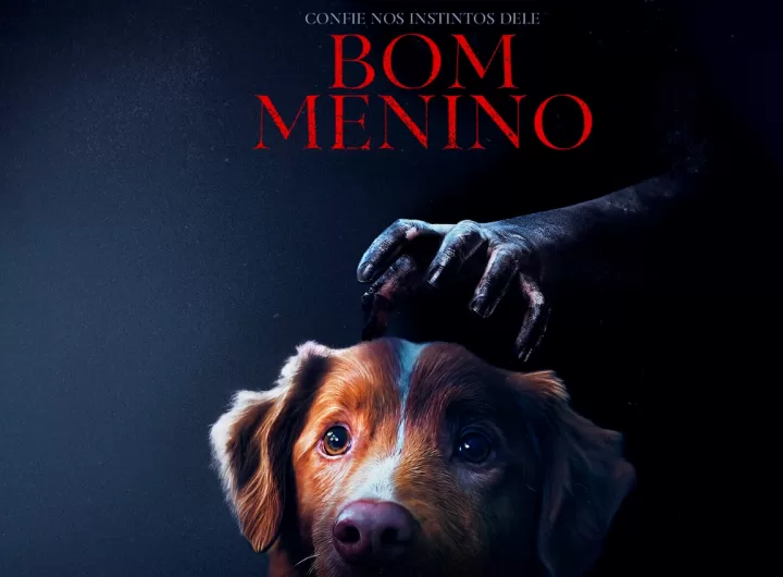 bom menino filme