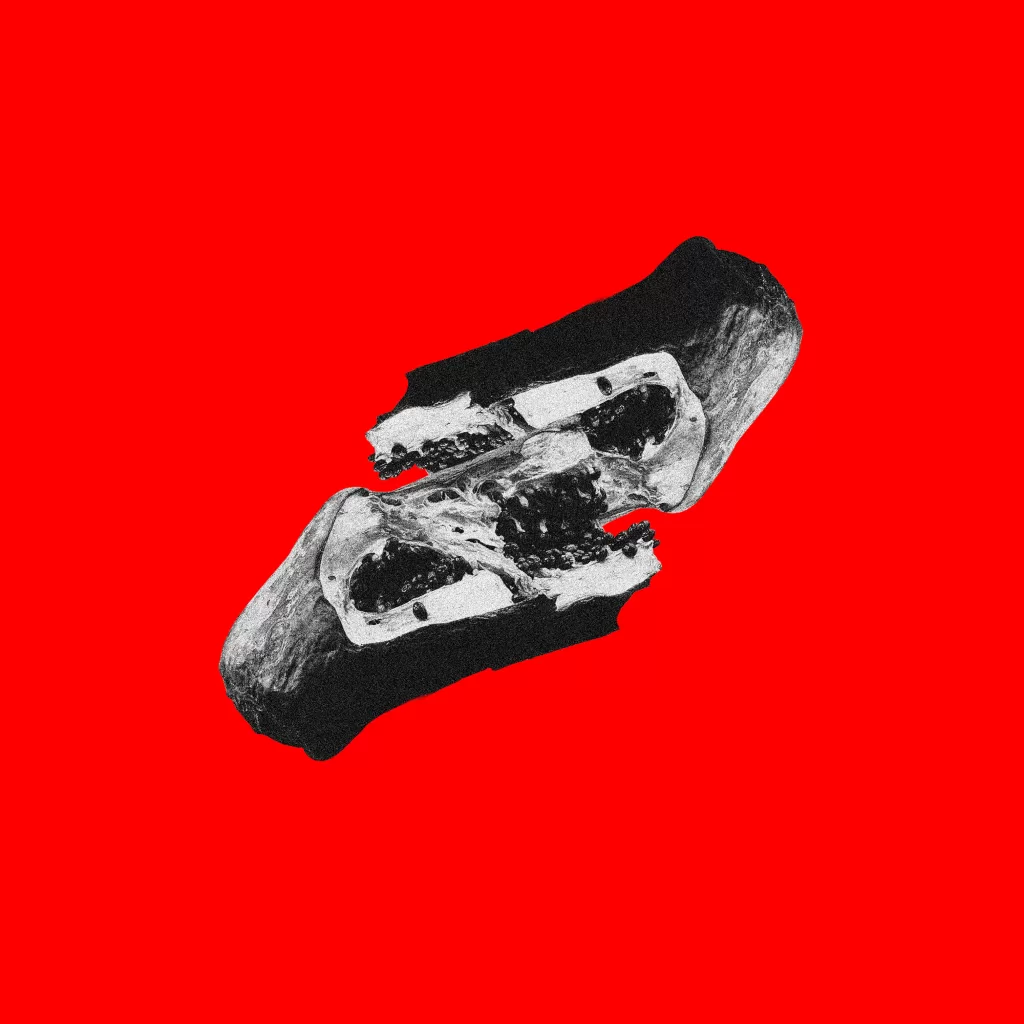 vidamorteconteudo molho negro capa do disco