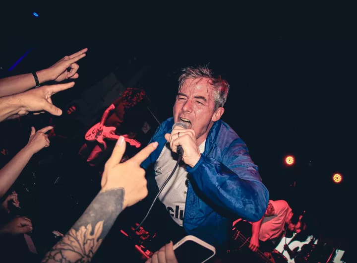 Fiddlehead em show em são paulo