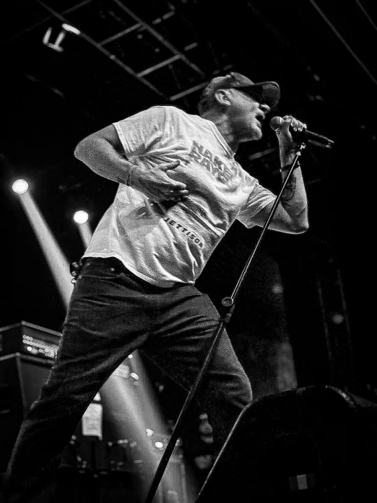 Pennywise na We Are One Tour (Créditos: @gicahernandes/@newfacesrock)